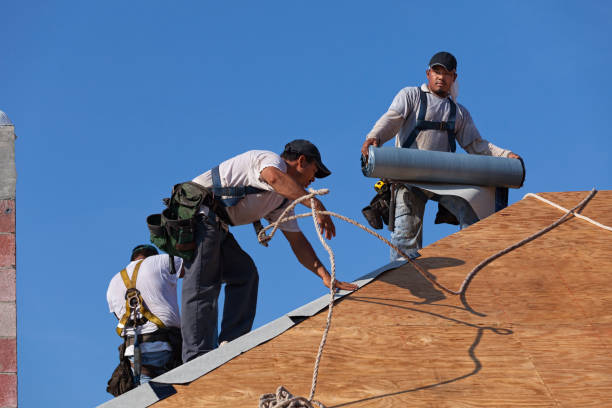 Best Gutter Installation and Roofing  in Fairmont, IL