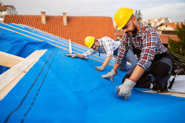 Best Roof Repair Services  in Fairmont, IL